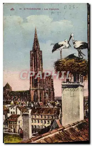 Cartes postales Strasbourg Les Cigognes