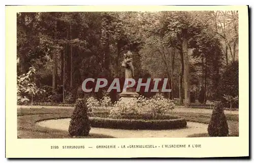 Cartes postales Strasbourg Orangerie La Gaenseliesel L'Alsacienne a L'oie