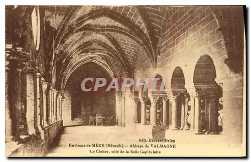 Cartes postales Environs de Meze Herault Abbaye de Valmagne Le Cloitre cote de la Salle Capitulaire