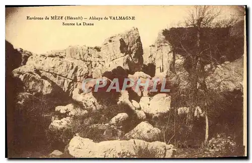 Ansichtskarte AK Environs de Meze Herault Abbaye de Valmagne Source La Diane