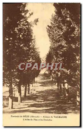 Cartes postales Environs de Meze Herault Abbaye de Valmagne L'Allee de Pins et les Dentelles