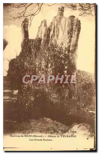 Ansichtskarte AK Environs de Meze Herault Abbaye de Valmagne Les Grands Rochers