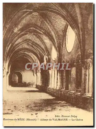 Ansichtskarte AK Environs de Meze Herault Abbaye de Valmagne Le Cloitre