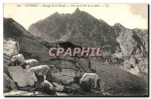 Cartes postales Luchon Passage de la Picade Vue sur le Pic de la Mine Moutons