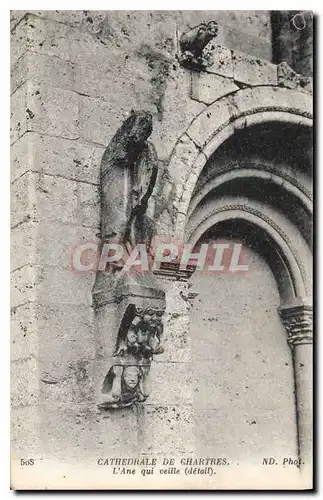 Cartes postales Cathedrale de Chartres l'Ane qui veille detail