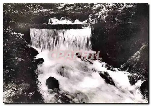Cartes postales Divonne les Bains Ain Sources de la Divonne