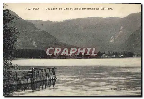 Ansichtskarte AK Nantua un Coin du Lac et les Montagnes de Colliard