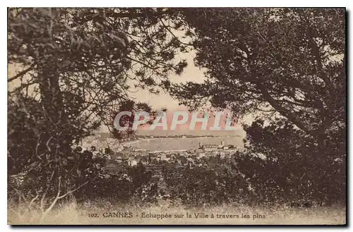 Cartes postales Cannes Echappee sur la Ville a travers les pins