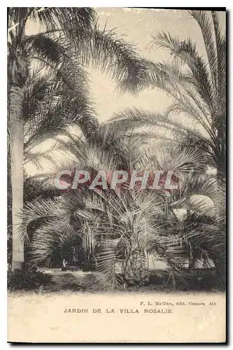 Cartes postales Jardin de la Villa Rosailie