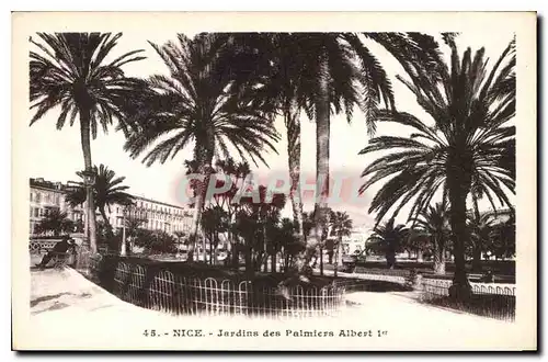 Cartes postales Nice Jardins des Palmiers Albert Ier