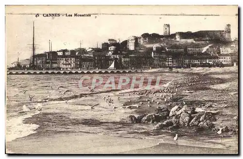 Cartes postales Cannes Les Mouettes