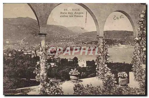 Cartes postales Nice Baie des Anges entre les fleurs