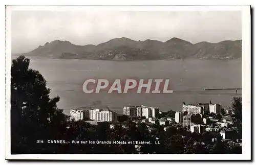 Cartes postales Cannes Vue sur les grands Hotels et l'Esterel