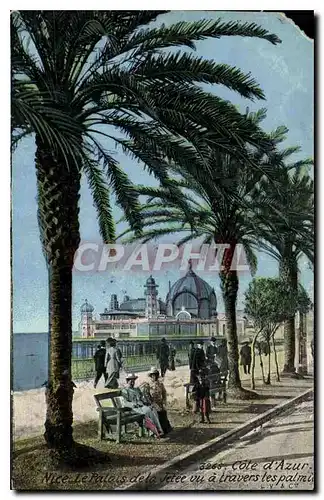 Cartes postales Cote d'Azur Nice le Palais de la Jetee vu a travers les palmiers