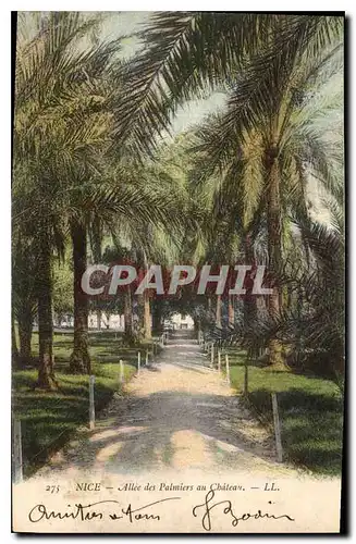 Cartes postales Nice Allee des Palmiers au Chateau