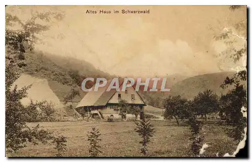 Cartes postales Altes Haus im Schwarzwald