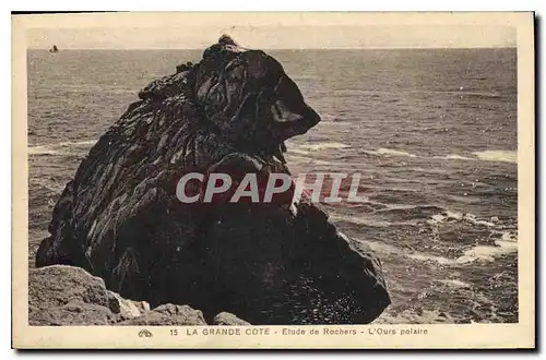 Cartes postales la Grande Cote Etude de Rochers L'Ours polaire