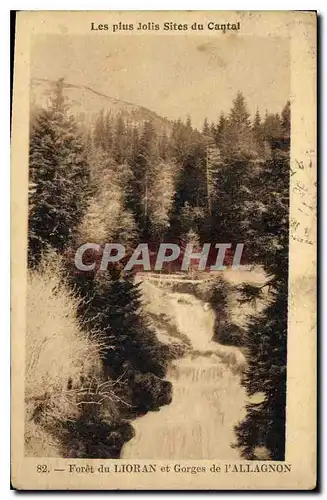 Cartes postales Les plus Jolis Sites du Cantal Foret du Lioran et Gorges de l'Allignon