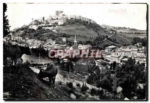 Cartes postales St Flour Cantal Vue generale Vaches