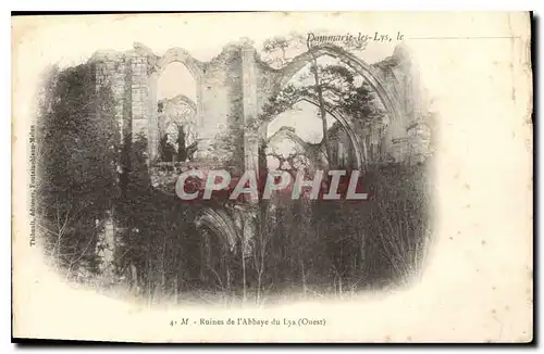 Cartes postales Dammarie les Lys Ruines de l'Abbaye du Lys Ouest
