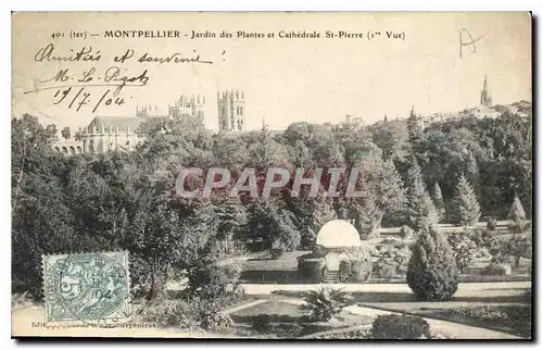 Ansichtskarte AK Montpellier Jardin des Plantes et Cathedrale St Pierre