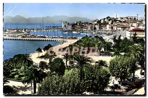 Cartes postales la Cote d'Azur Cannes le Jardin et le Suquet