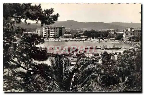 Cartes postales le Lavandou vu a travers les Mimosas et les Palmiers