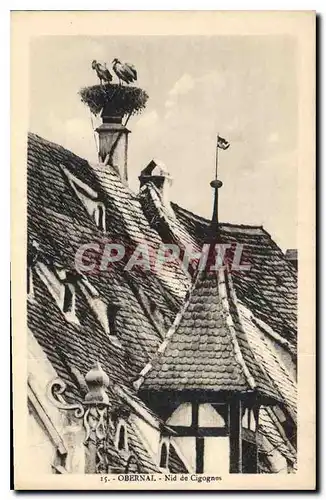 Cartes postales Obernai Nid de Cigognes