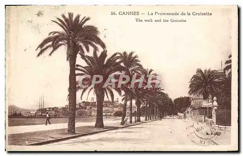 Cartes postales Cannes La Promenade de la Croisette