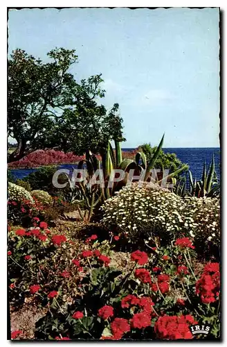 Cartes postales Reflets de la Cote d'Azur Les Beaux Sites de la Cote Mediterraneanne