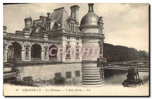 Cartes postales Chantilly Le Chateau L'Aile droite Chien