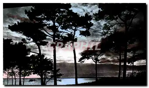 Cartes postales Bassin d'Arcachon Gironde Coucher de Soleil