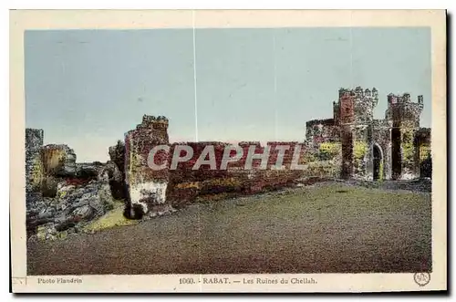 Ansichtskarte AK Rabat Les Ruines du Chellah