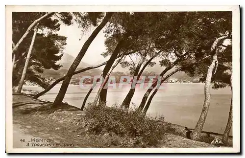 Cartes postales Menton A Travers les Pins