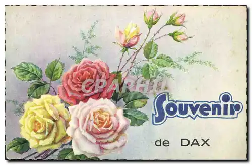 Ansichtskarte AK Souvenir de Dax Fleurs