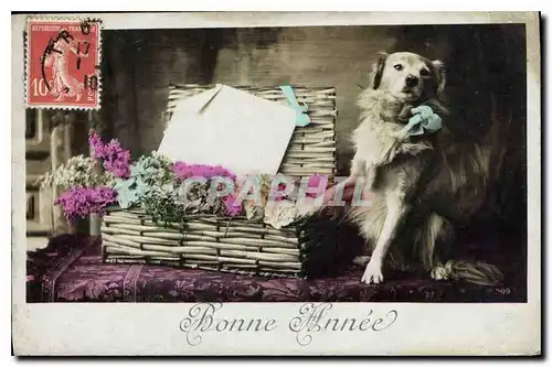 Cartes postales Bonne Annee Chien