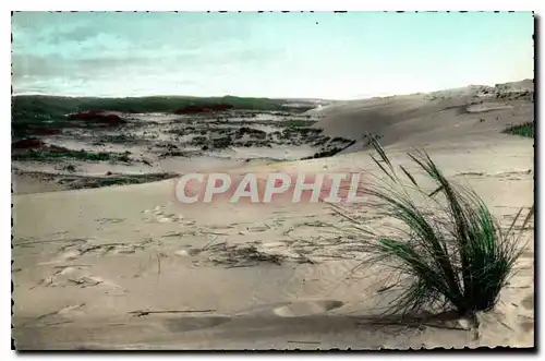 Cartes postales Saint Girons Place Landes