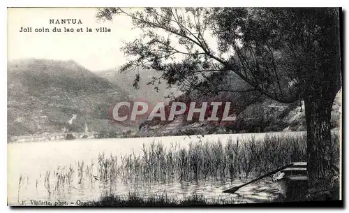 Ansichtskarte AK Nantua Joli coin du lac et la ville