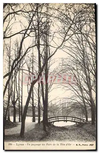 Cartes postales Lyon Un Paysage au Parc de la Tete d'Or