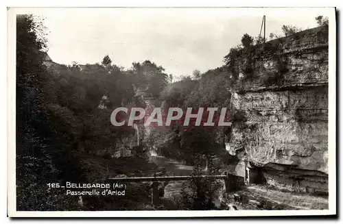 Cartes postales Bellegarde Ain Passerelle d'Arlod