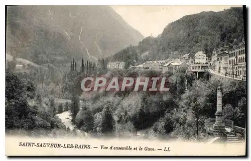 Cartes postales Saint Sauveur Les Bains Vue d'Ensemble etla Gave