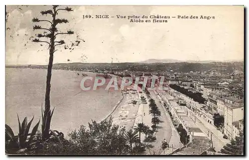 Ansichtskarte AK Nice vue prise du Chateau Baie des Anges Aloes en fleurs