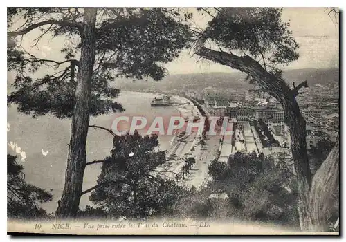 Cartes postales Nice vue prise entre les Pins du Chateau