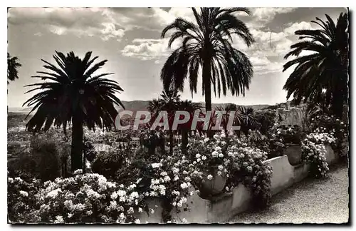 Ansichtskarte AK Grasse Sa Vegetation exotique au fond la Mediterranee