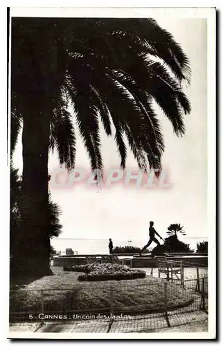 Cartes postales Cannes un Coin des Jardins