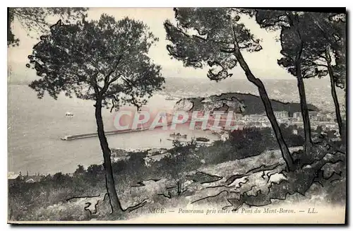 Cartes postales Nice Panorama pris entre les Pins du Mont Boron