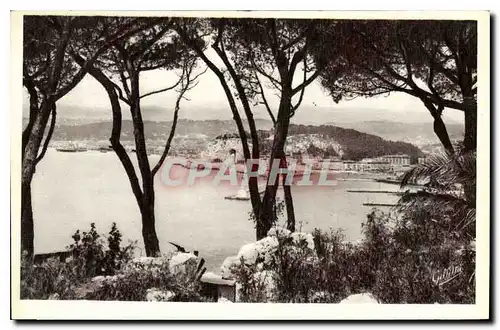 Ansichtskarte AK Cote d'Azur Artistique Nice Vue entre les Pins