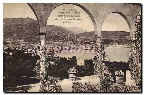 Cartes postales Nice Baie des Anges entre les fleurs