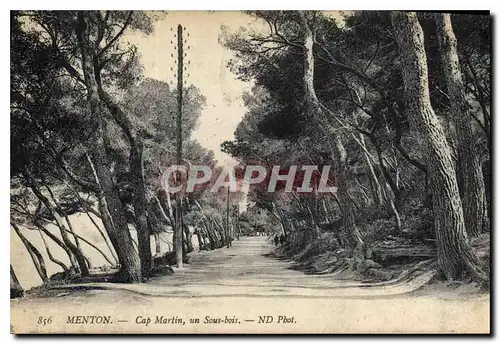 Cartes postales Menton Cap Ferrat un Sous bois