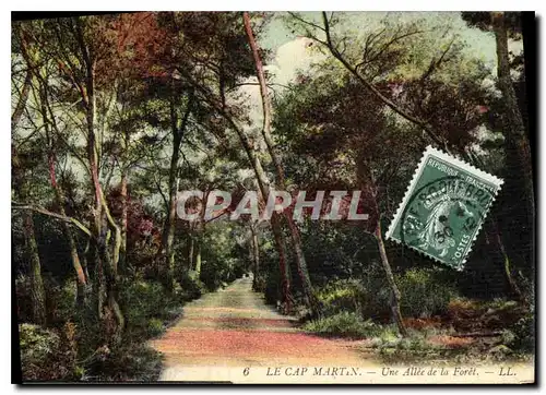 Cartes postales Le Cap Martin Une Allee de la Foret